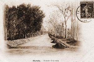 BIVEN Georges - 092- Marnia